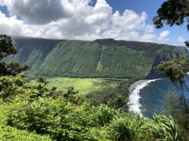 【ハワイ島を観光するならコレ】ベルトラで予約できるガイド付き貸切チャーターがオススメ