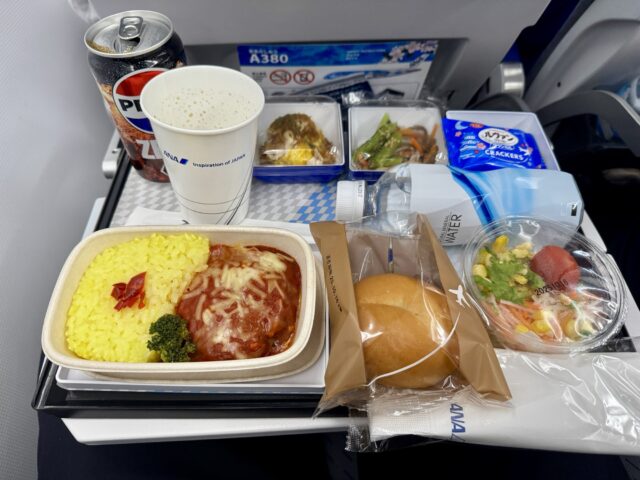 フライングホヌ　機内食